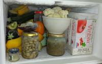 Brian\'s little freezer.jpg