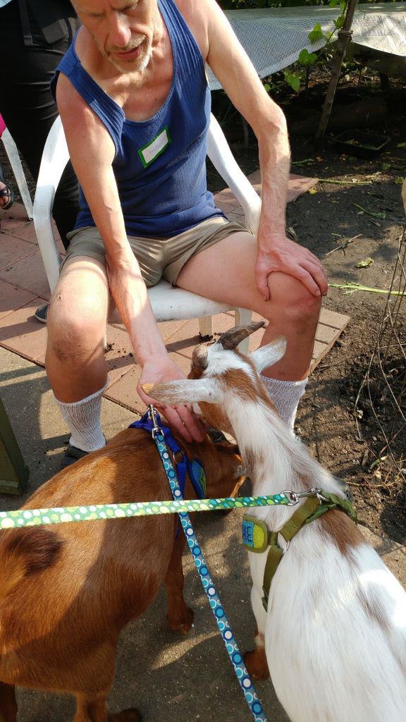 goats.jpg.ff74f3d3f7c839d7f92c4caca0a04aa5.jpg