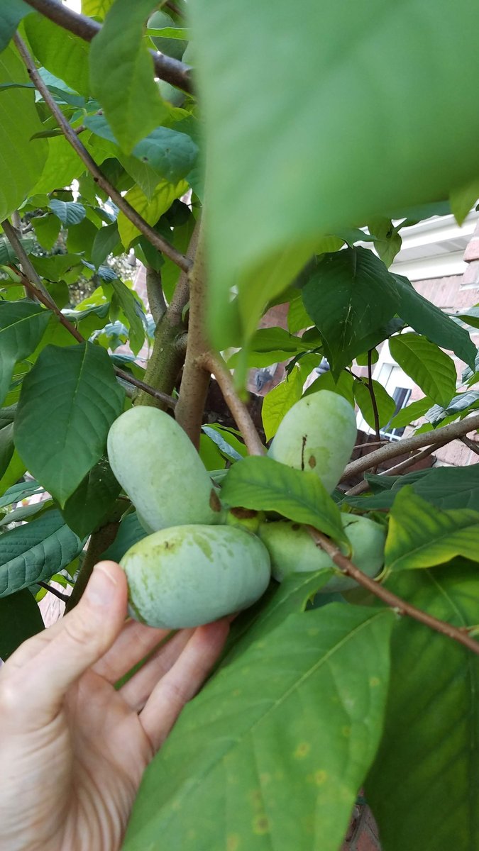 20190802_192217.jpg