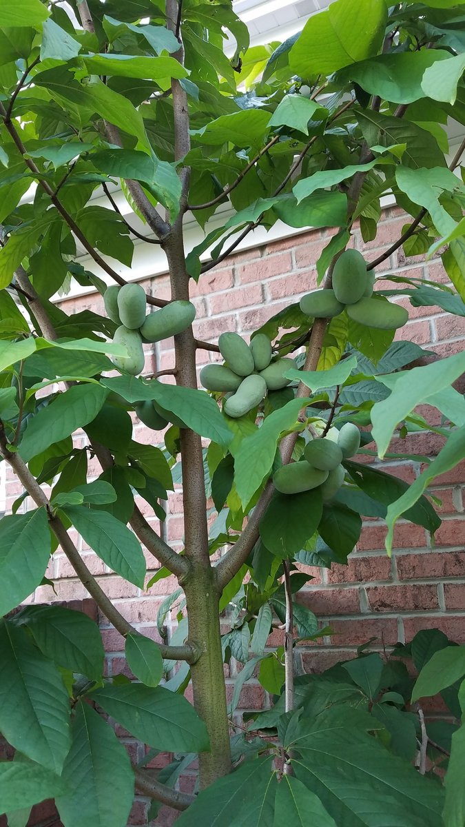 20190802_192238.jpg