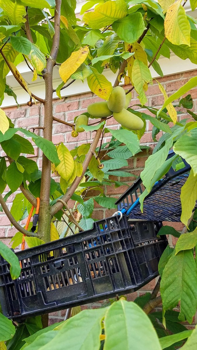 20191001_153512.jpg