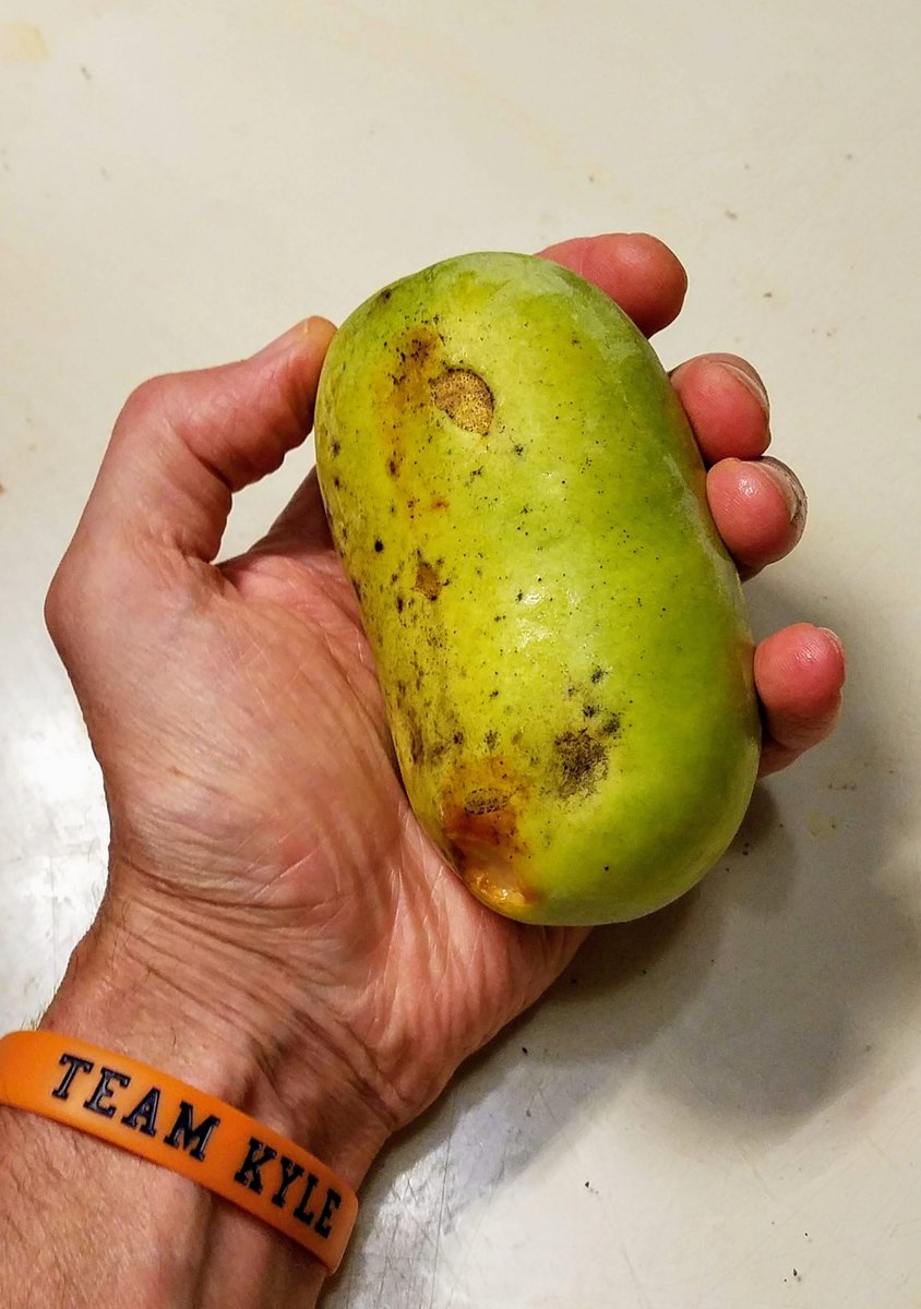 20191001_154118.jpg