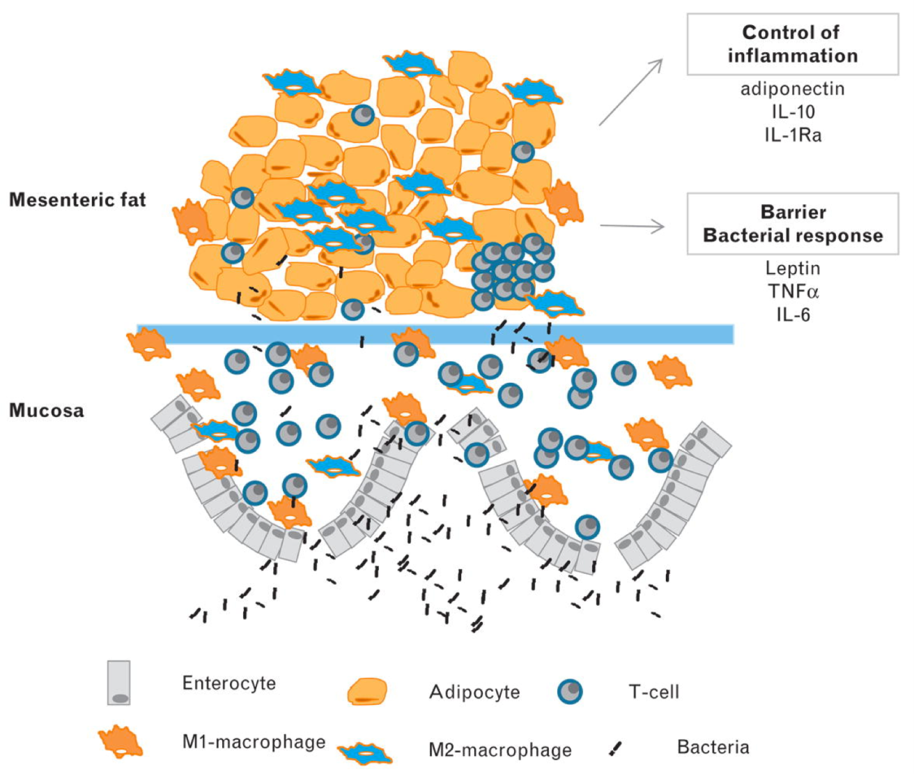 image.png.6eaa3c5166018eccb580155b857ecc47.png