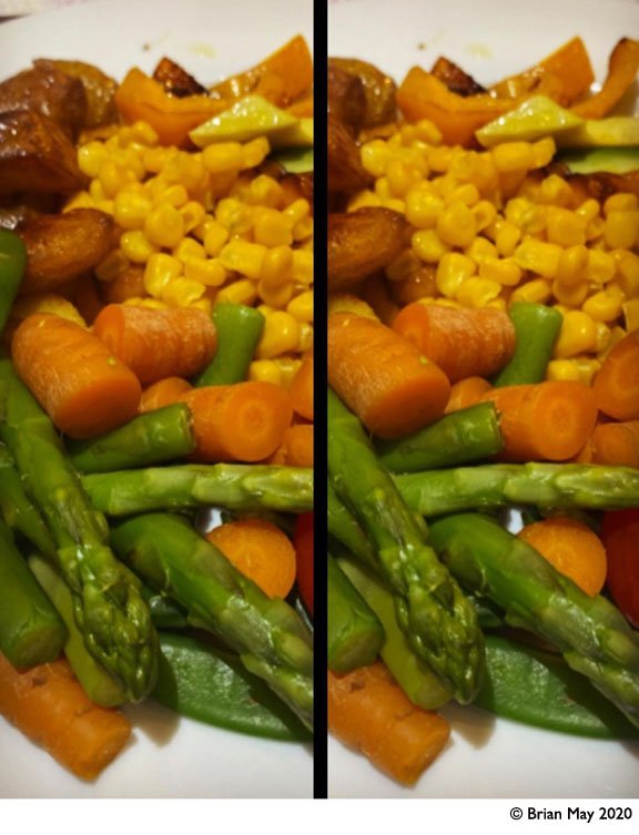 IMG_040_Vegan_meal_576x753_cross.jpg