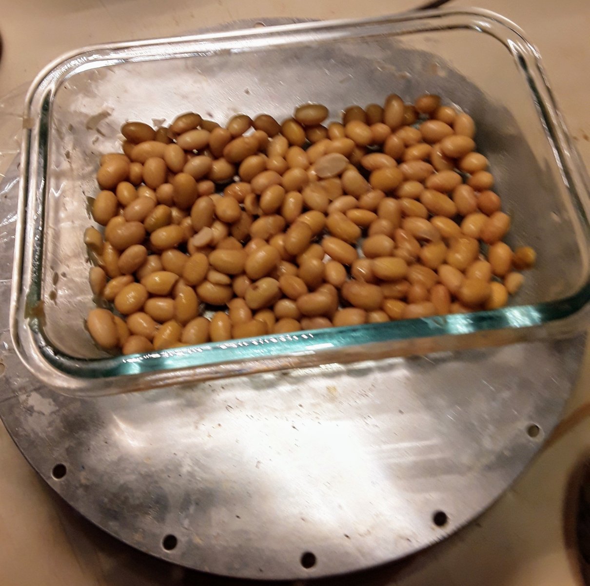 20200902_142924.jpg