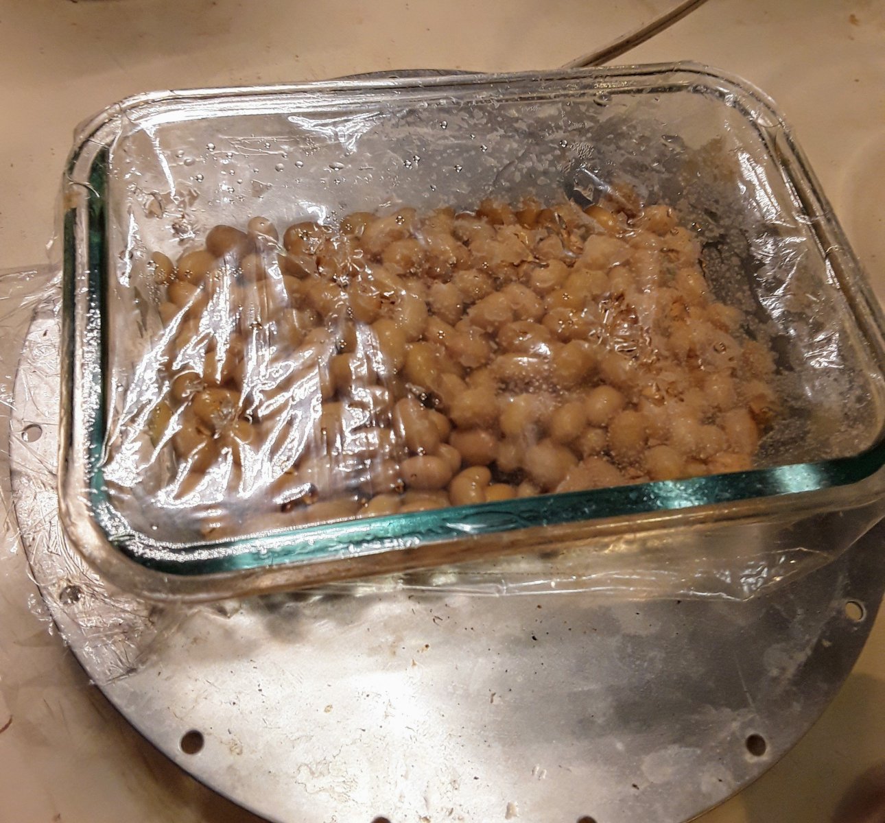 20200902_143217.jpg