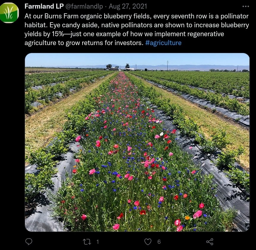Screenshot_20220721-121211_Chrome.jpg